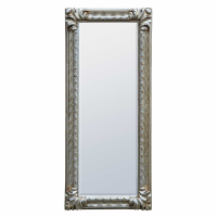 Silver Mirror