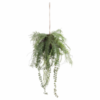 Fern Hanging Basket Arrangment