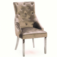 Belvedere Modern Champagne Velvet Kitchen Dining Chair Knocker Back 102x55x68cm