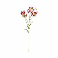 Spray Red (3pk)