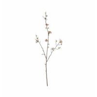 Blossom Stem Pink (3pk)