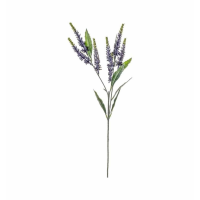 Spray Lilac (3pk)