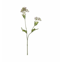 Spray Lilac (5pk)