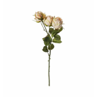 Spray Powder Pink (3pk)