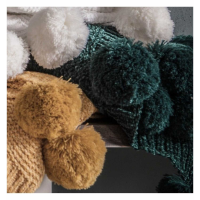 Pom Pom Chenille Throw Teal