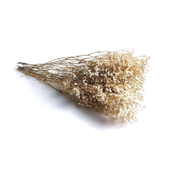 Dried White Babys Breath Bunch