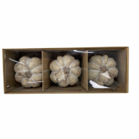 Set Of Three Carved Wood Effect Pumpkins