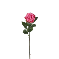 Pink Rose Stem Pink 12pk Small