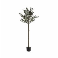 Tree Medium