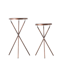 Hannah Sidetable Set of 2 Bronze
