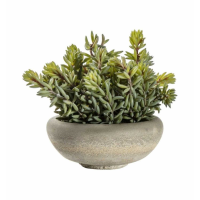 Green With Cement Bowl Large