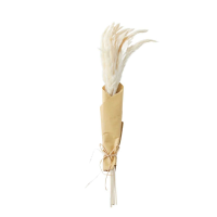 White Dried Reed Grass Bundle in Paper Wrap White