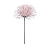 Pink Foam Single Grey Stem Spiky Flower
