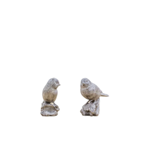 Perched Set of 2