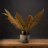 Single Autum Fern Stem