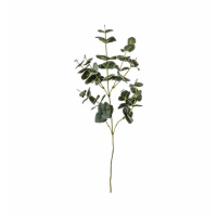 Spray Green
