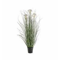 Grass With 4 Heads White
