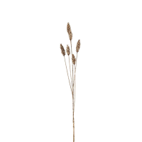 Wheat Spray 6pk
