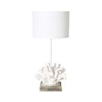 White Shell Table Lamp With White Shade