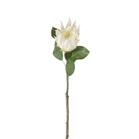 Stem White 6pk