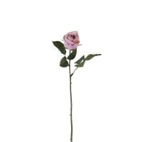 Lilac Rose Stem Lilac 12pk Medium