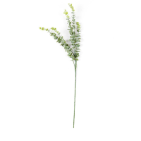 Gunnii Eucalyptus Spray