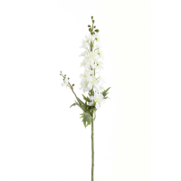Tall White Delphinium Stem