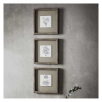 Triptych Monochrome Botanical Framed Art Trio W30 X D3 X H30cm