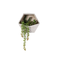 Planter with Sedum Succulent mix