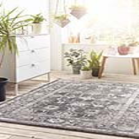 Origins Anatolia Light Grey Woven Floral Bordered Polypropylene Wall Rug 160x230cm