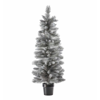 Potted Sparkly Pine Large