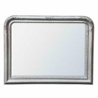 Louis Philippe Silver Gilt Leaf Overmantle Mirror