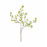 Spray Chartreuse (3pk)
