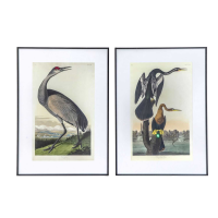 Fowl Study Framed Art Set of 2