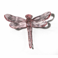 Pink Dragonfly With Spike