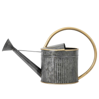 Watering Can GreyGold