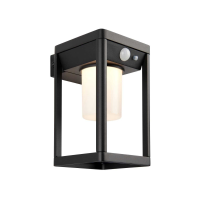Black Hallam Outdoor 1 Wall Light
