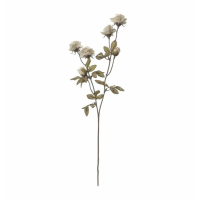 Rose Spray (6pk) Ivory