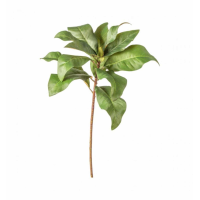 Spray with 12 Leaves