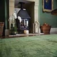 Rug Guru Modern Rectangular Viscose Karma Fern Green Floor Rug 200x300cm