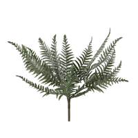 Fern Bush Spray 6pk