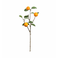 Stem With 3 Fruits