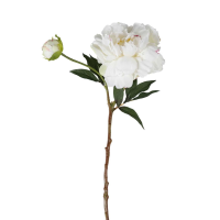 Peony Spray 6pk