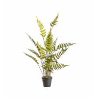 Fern Bracken Large