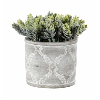Green With Patterned Pot