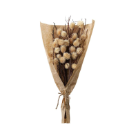 Natural Dried Thistle Bundle in Paper Wrap Natural Large