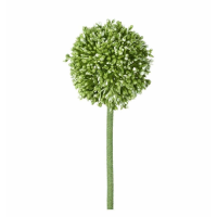 Stem Green (12pk)