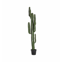 Elegant Artificial Home Accessories Cactus Large Desert Plant 160 x 41cm