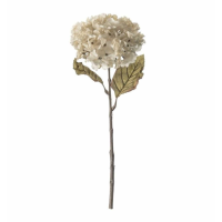 Hydrangea Stem (3pk) Ivory