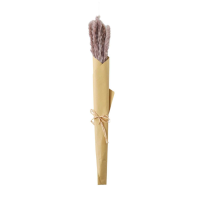 Lilac Dried Reed Grass Bundle in Paper Wrap Lilac